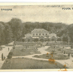 4885 - Baile EPISCOPIEI ( 1 MAI ), Bihor, Park - old postcard - unused