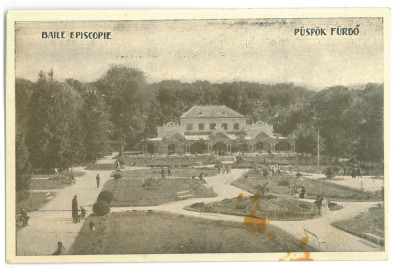 4885 - Baile EPISCOPIEI ( 1 MAI ), Bihor, Park - old postcard - unused foto