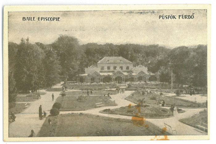 4885 - Baile EPISCOPIEI ( 1 MAI ), Bihor, Park - old postcard - unused