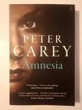 Peter Carey - Amnesia (2015)