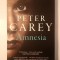 Peter Carey - Amnesia (2015)