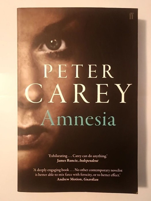 Peter Carey - Amnesia (2015)