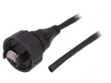 Patch cord Ethernet 3m Buccaneer 8-pin