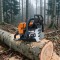 Drujba semiasamblata Holzfforma&amp;reg; G660 - 2