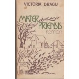 Mater Priensis (roman)