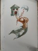Jules Perahim L&#039;Alphabet cromolitografie numerotata si semnata de autor