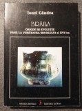 Ionel C&acirc;ndea - Brăila: origini și evoluție p&acirc;nă la jumătatea sec. XVI