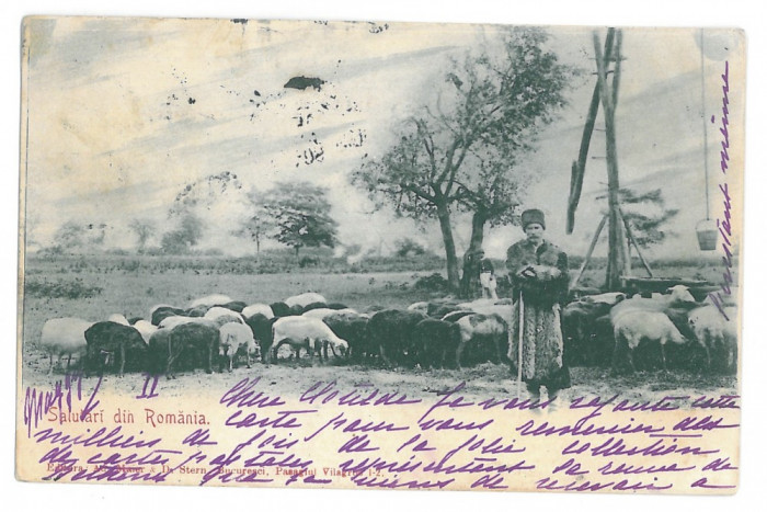 4449 - ETHNIC, Cioban SHEPHERD, Romania, Litho - old postcard - used - 1901