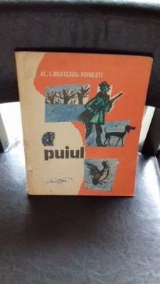 PUIUL - AL.I. BRATESCU-VOINESTI foto