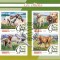 GUINEEA 2016 - Fauna, Caini/ colita noua
