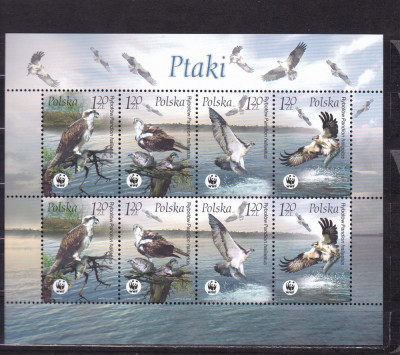 POLONIA 2003 FAUNA WWF PASARI BLOC MNH foto