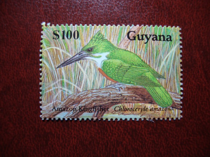 GUYANA 1990 PASARI MH