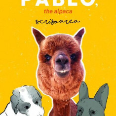 Pablo, the alpaca - Paperback brosat - Marian Godină - Curtea Veche