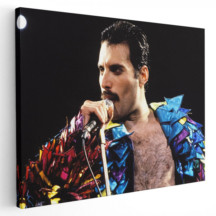 Tablou afis Queen trupa rock 2337 Tablou canvas pe panza CU RAMA 60x90 cm