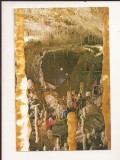 RF121 - Carte Postala - Pestera Ursilor. Chiscau (Bihor) . necirculata