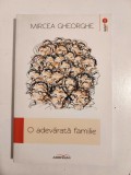 DD- O adevărată familie, Mircea Gheorghe, colecția Punct RO. Proză la Ed Adenium