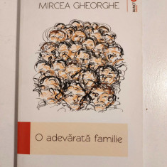 DD- O adevărată familie, Mircea Gheorghe, colecția Punct RO. Proză la Ed Adenium
