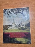 ghid de prezentare muzeul peles - din anul 1970