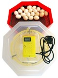 Incubator electric cu termometru si dispozitiv de intoarcere oua Cleo5DT - 41 oua gaina