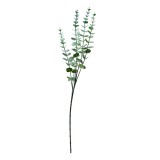Cumpara ieftin Set 3 crengute Eucalipt artificial verde 15x7x69 cm
