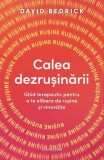 Calea dezrușinării David Bedrick - Dezvoltare personala - Paperback brosat