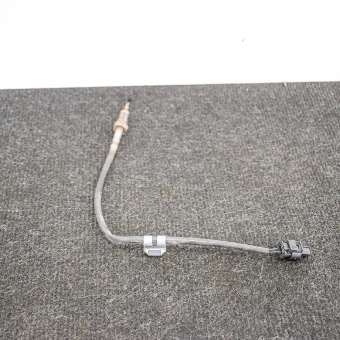 Senzor de temperatură BMW 5 F10 2013 OEM: 8509963 10002125