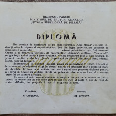 Diploma de betivan// perioada comunista
