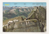 FG2 - Carte Postala - ELVETIA - Santis 2504 m, circulata 1983, Fotografie