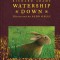 Watership Down