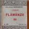 Flamanzii- I. Ciocarlan