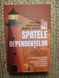 In spatele dependentelor - Cece Sykes, Martha Sweezy, Richard C. Schwartz