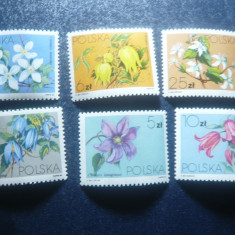 Serie Polonia 1984 - Flora , 6 valori