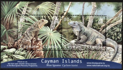 CAYMAN ISLANDS 2004 REPTILE IGUANE foto
