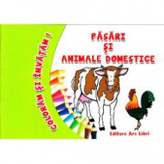 Pasari si animale domestice - Coloram si invatam!