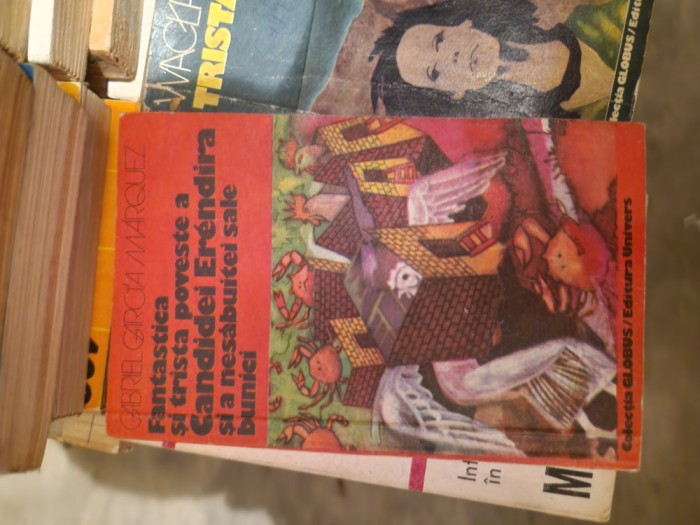 Fantastica și trista poveste a Candidei vintage