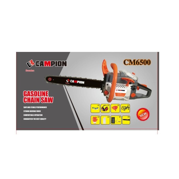 Drujba Campion 6500 3.5 CP Drujba Campion 6500 3.5 CP