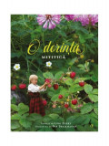 O dorință mititică - Hardcover - Lori Evert - Curtea Veche