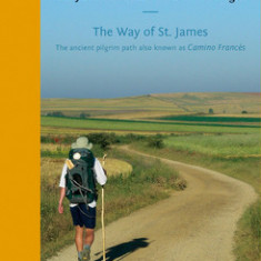 A Pilgrim's Guide to the Camino de Santiago (Camino Franc