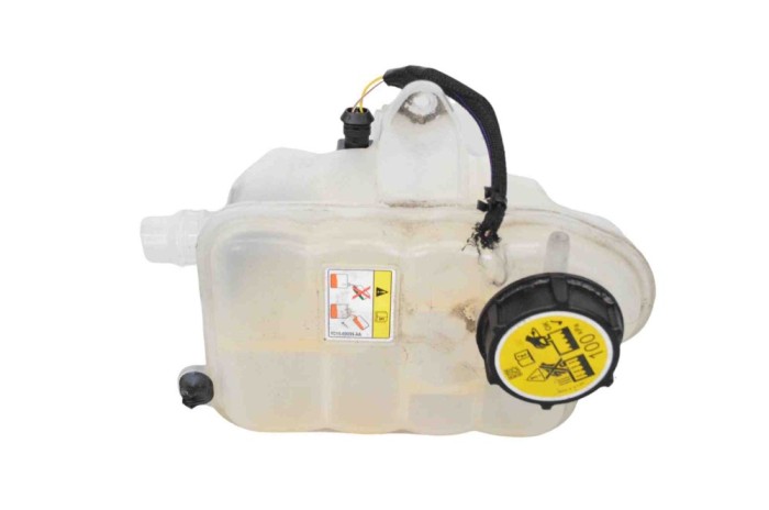 Vas de expansiune JAGUAR I-PACE X590 2020 OEM: J9D3-8A080-BD 23509041