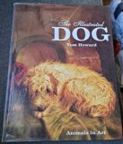 The illustrated dog - Tom Howard