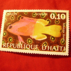 Timbru Haiti 1973 - Fauna - Pesti , val. 0,1c