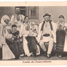 SV * Sibiu * FAMILIE DE TARANI DIN POIANA SIBIULUI