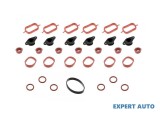 Kit anulare galerie admisie 22mm x 6 dopuri BMW X5 (2007-&gt;) [E70] #1