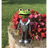 Decoratiune gradina-Broscoi in costum