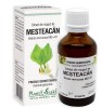 EXTRACT DIN MUGURI DE MESTEACAN 50ML, Plantextrakt