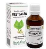 EXTRACT DIN MUGURI DE MESTEACAN 50ML, Plantextrakt