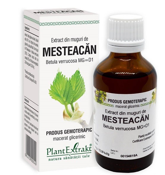 EXTRACT DIN MUGURI DE MESTEACAN 50ML