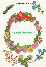 Plantele Medicinale foto