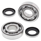 Cumpara ieftin Lagare cu arbore cotit set cu garnituri pentru KAWASAKI KDX 200 1983-1990