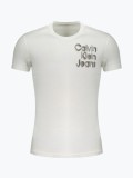 Cumpara ieftin Tricou barbati cu imprimeu cu logo si decolteu la baza gatului, J30J325680, Regular fit, Alb, XL
